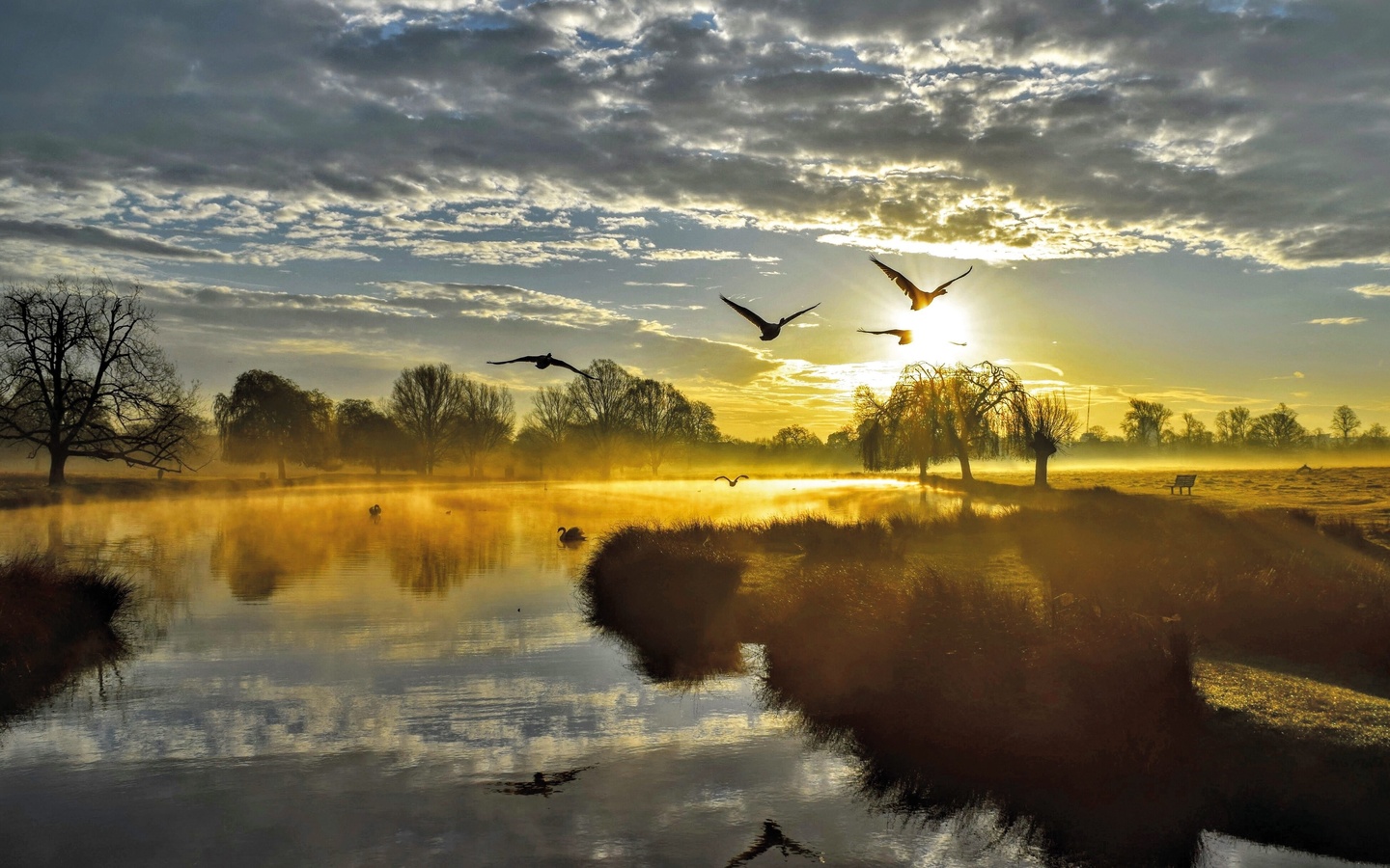 bushy park, london, beautiful landscapes