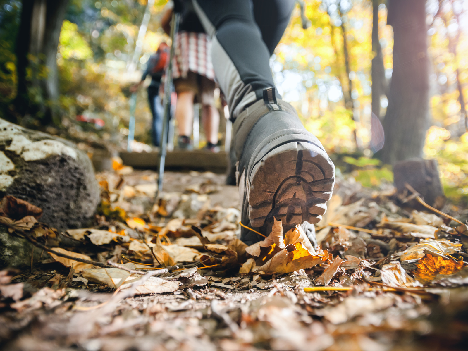 autumn, mountain trail, trekking sticks, hiker, performance footwear