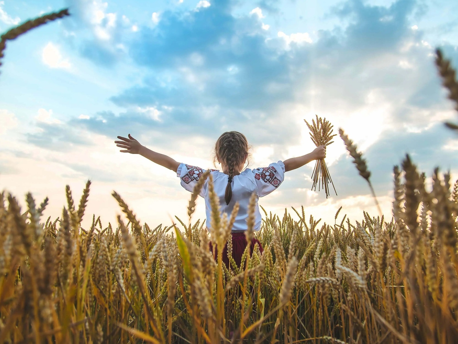 children, ukraine, vyshyvanka, wheat field