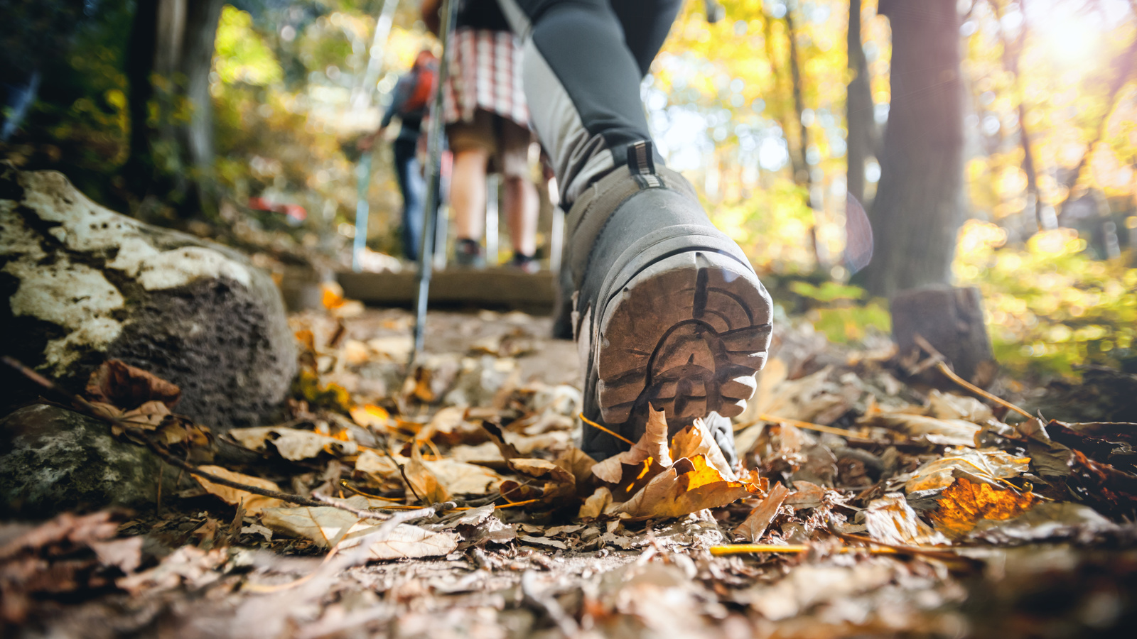 autumn, mountain trail, trekking sticks, hiker, performance footwear