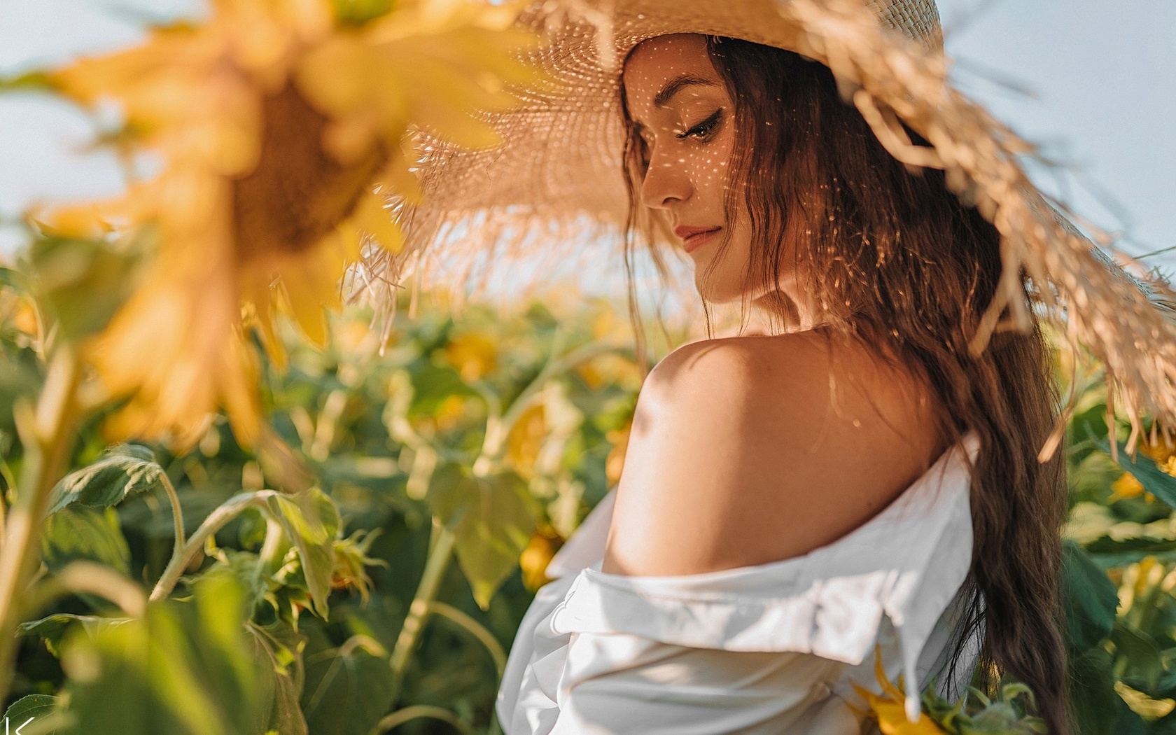 sergey freyer, women, brunette, women outdoors, sky, clouds, sunflowers, nature, white shirt, shirt, straw hat