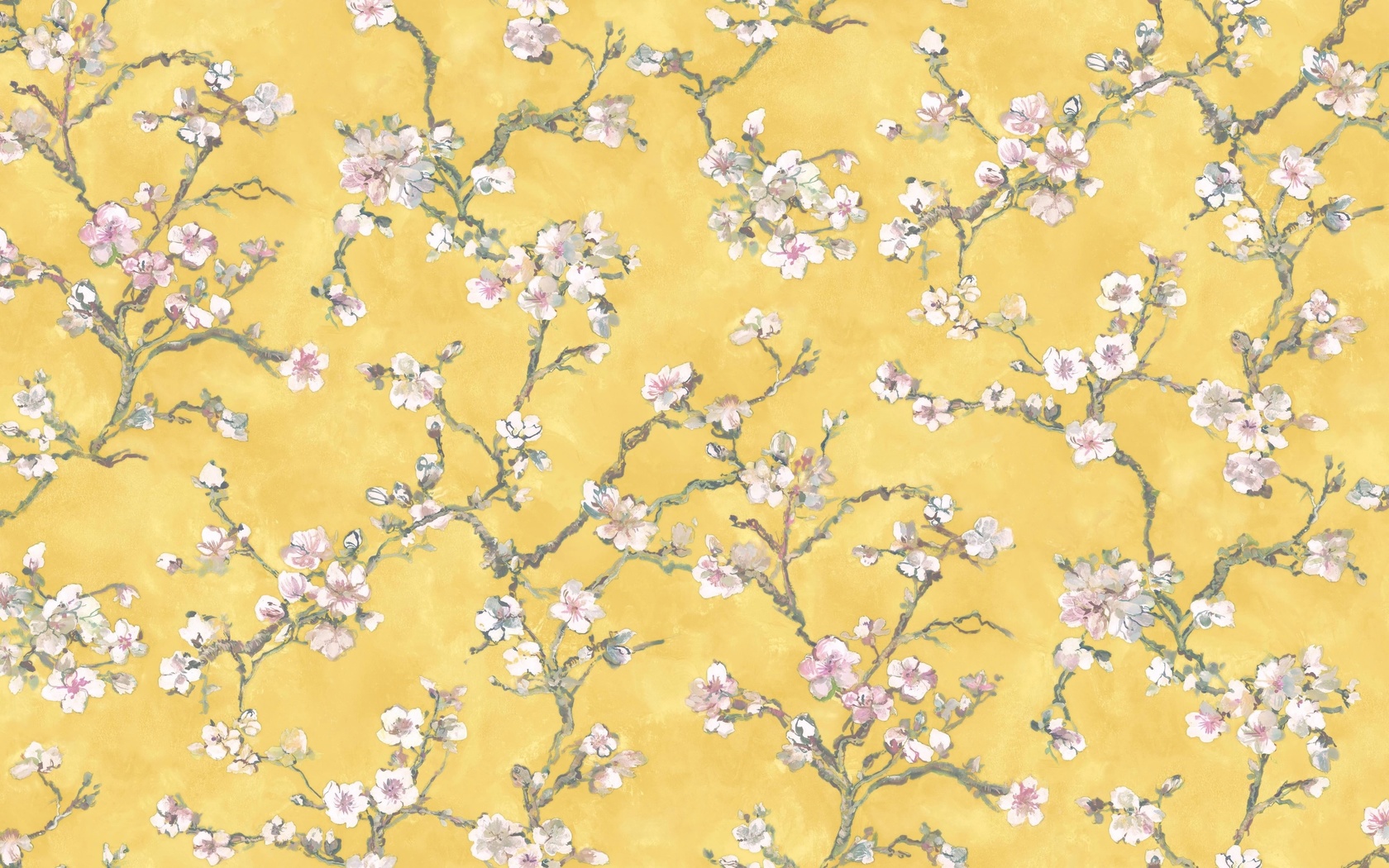 sakura, bernardo bartalucci carlotta, spring, wallpapers