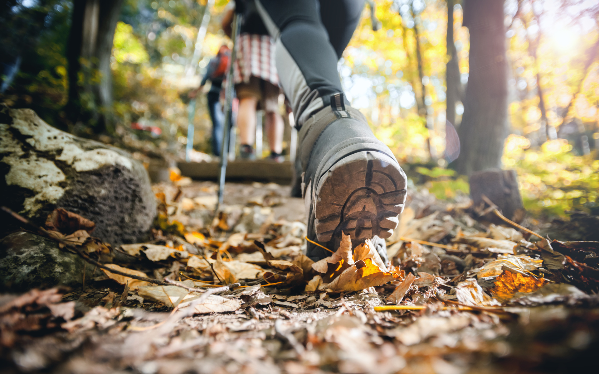 autumn, mountain trail, trekking sticks, hiker, performance footwear