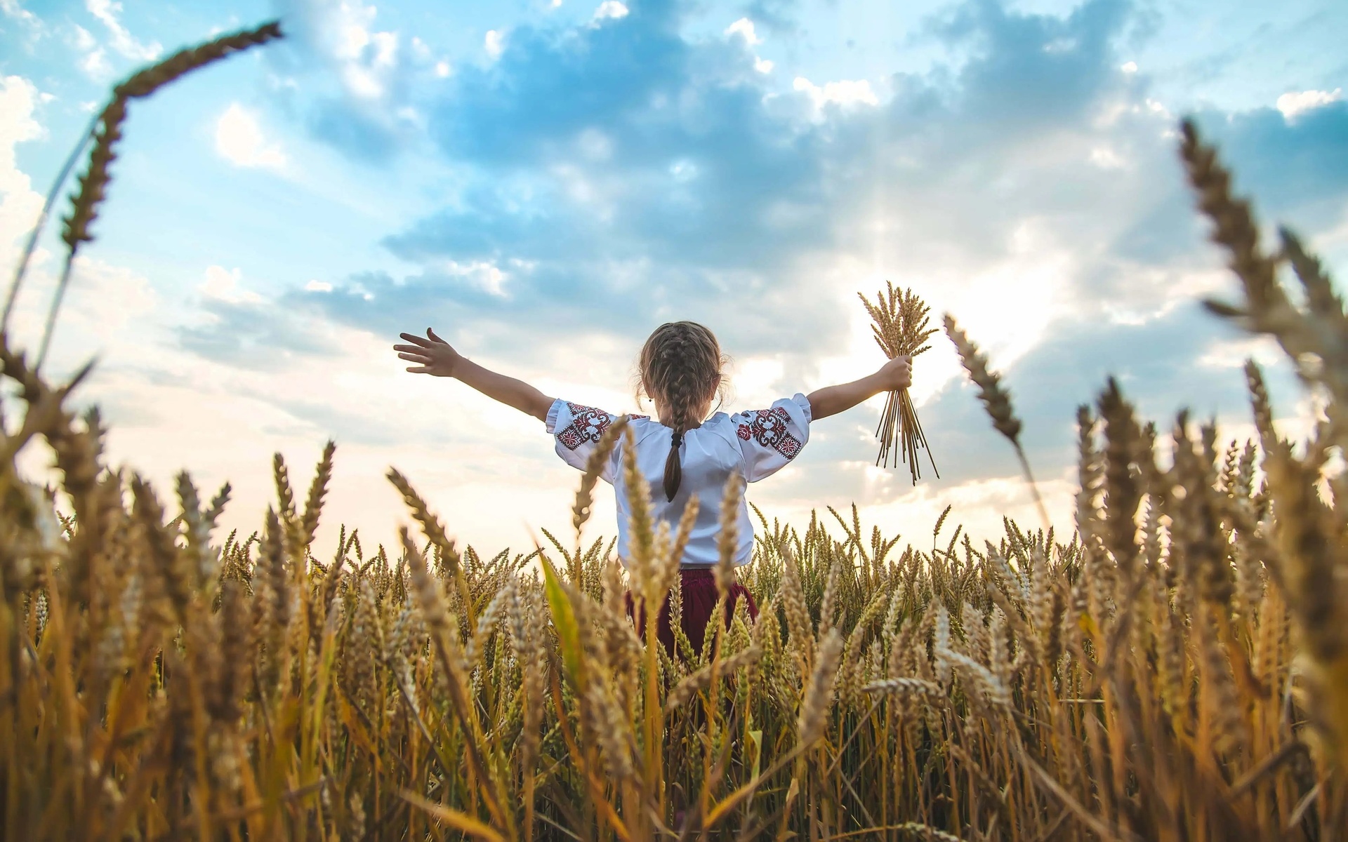 children, ukraine, vyshyvanka, wheat field