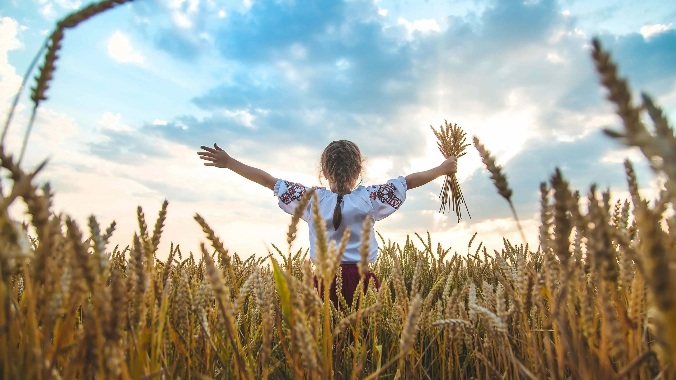 children, ukraine, vyshyvanka, wheat field