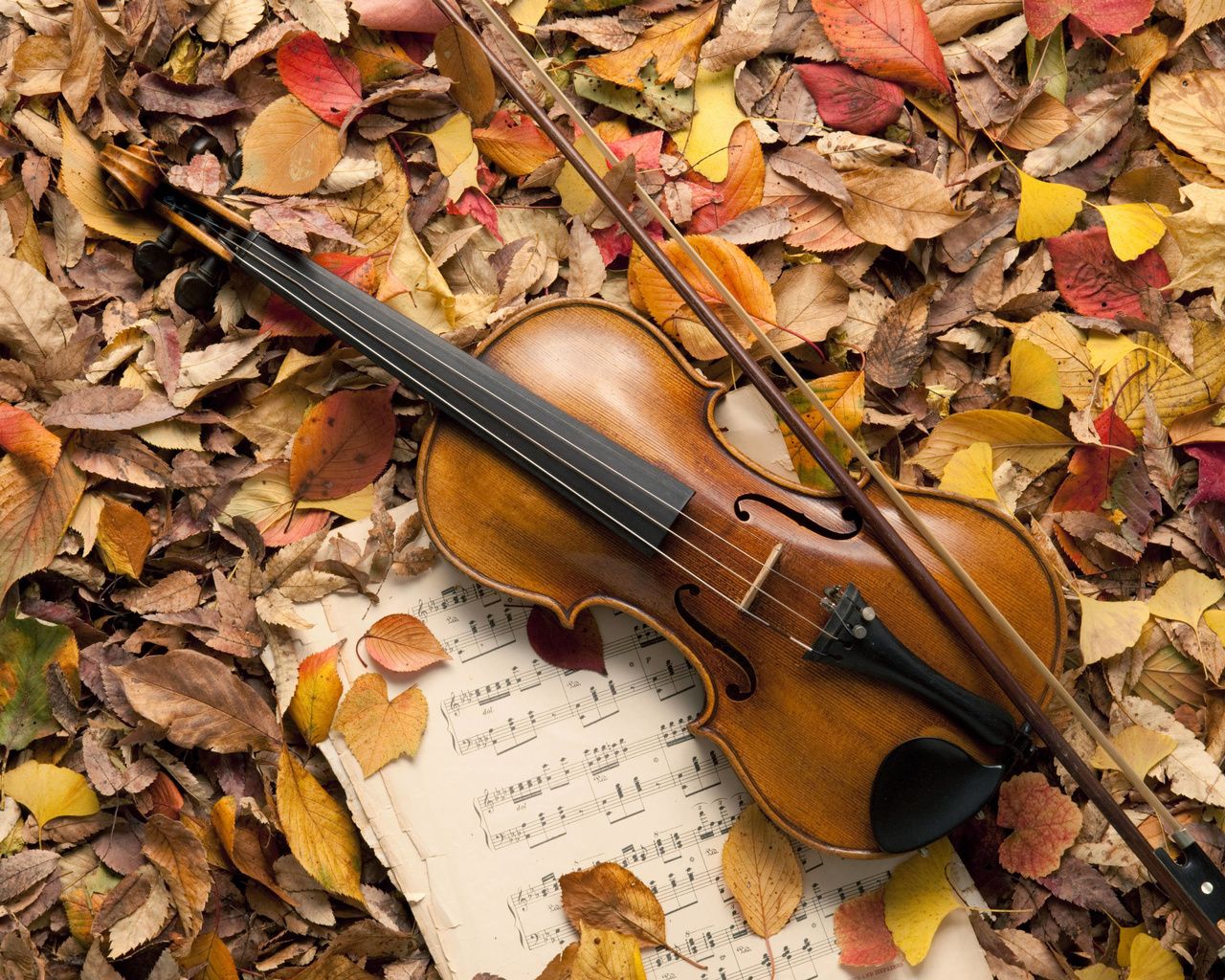 leaves, music, autumn, violin