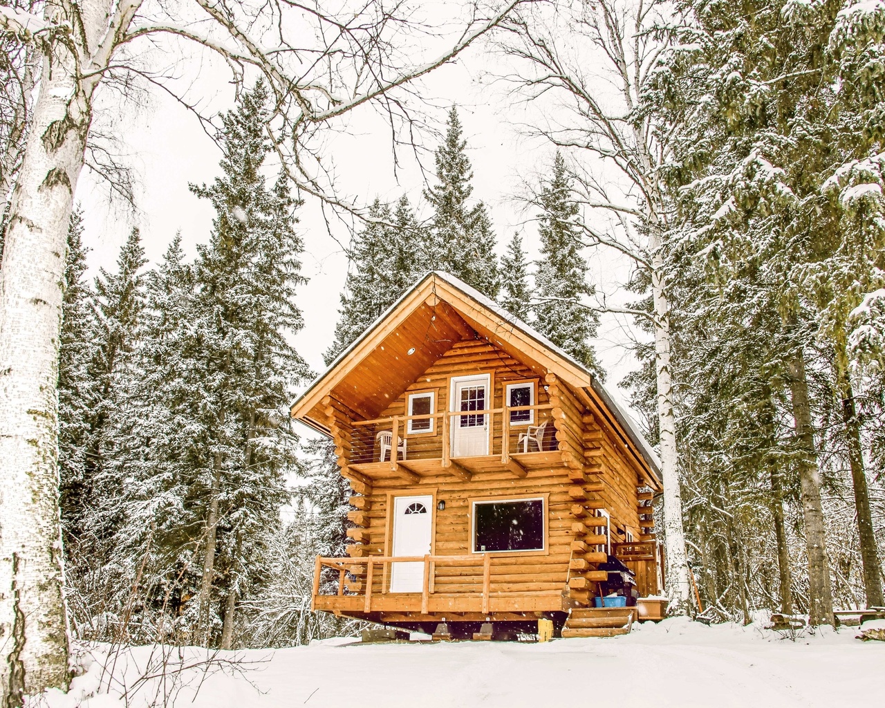 log cabin, wildlife, alaska