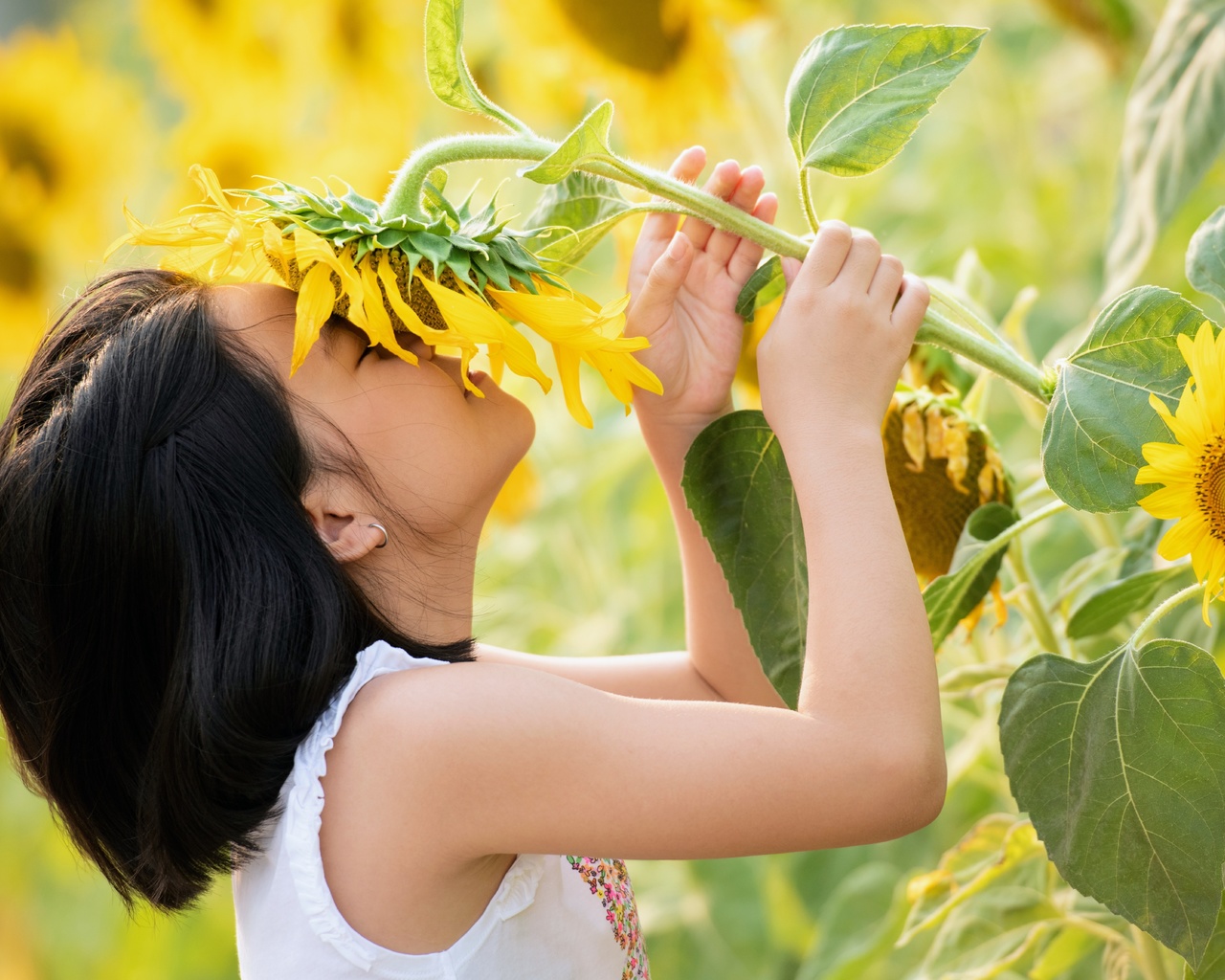 nature, little girl, summer, sunflowers