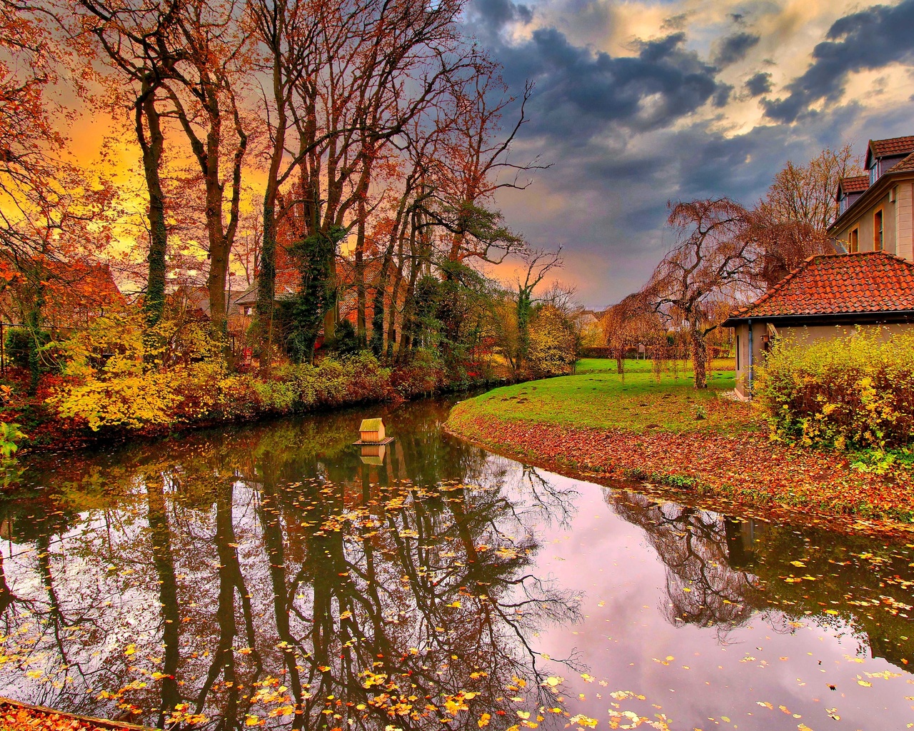 nature, autumn, north rhine-westphalia, werther, germany