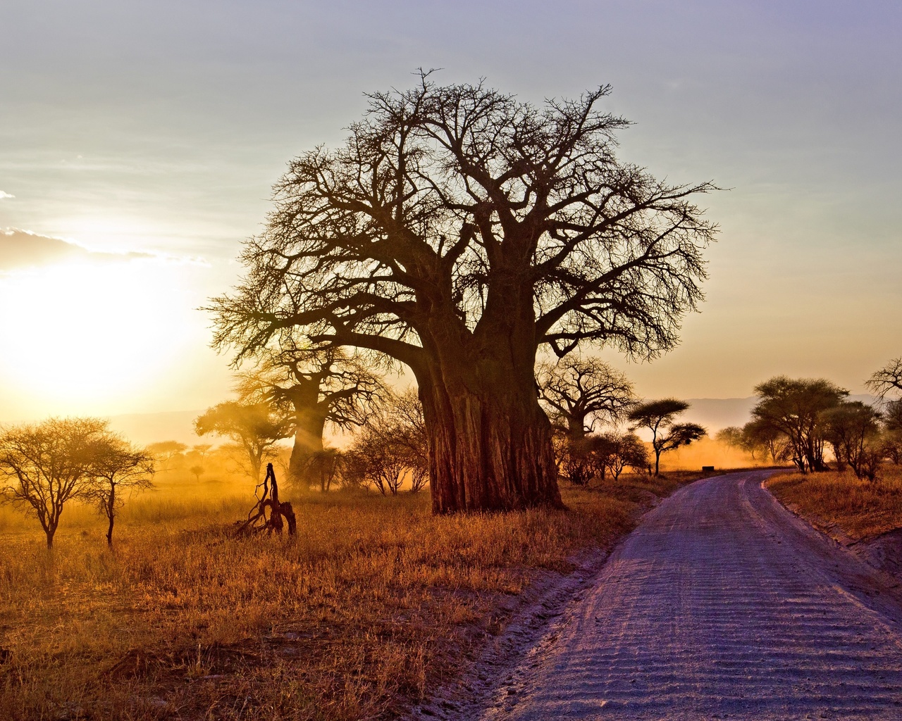 sunset, tarangire national park, tanzania