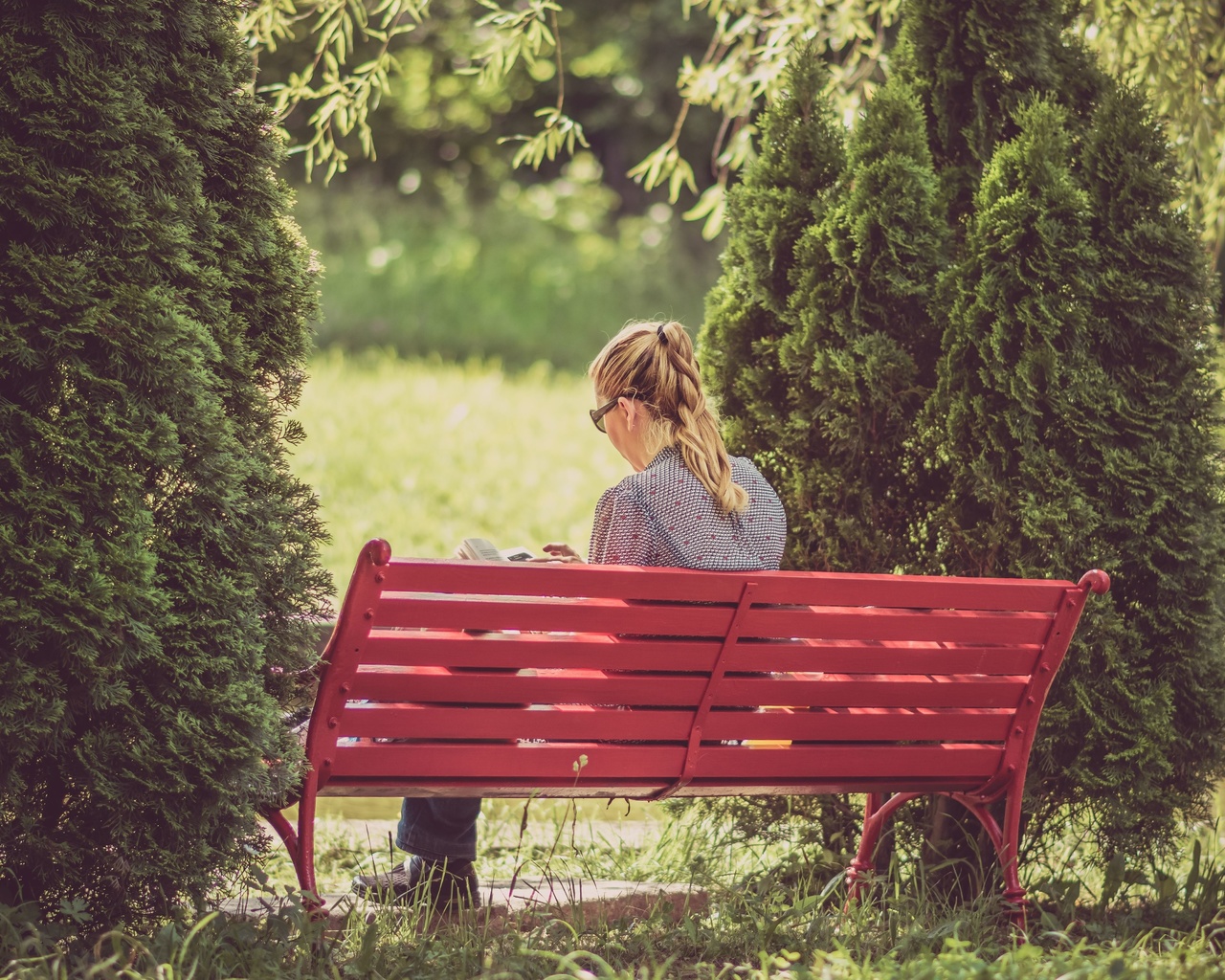 nature, garden, bench, autumn