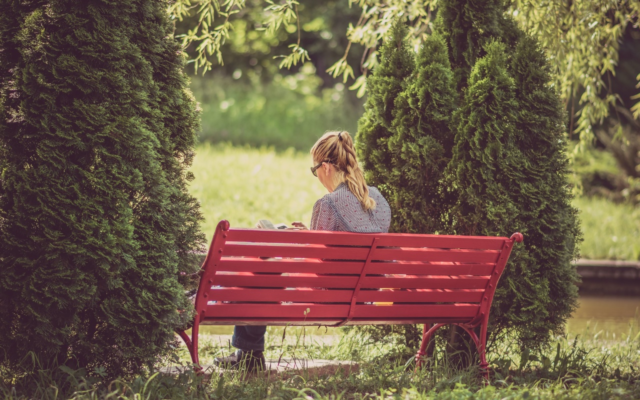 nature, garden, bench, autumn