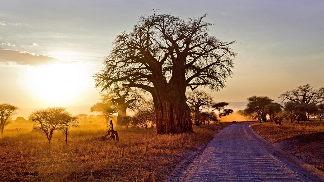 sunset, tarangire national park, tanzania