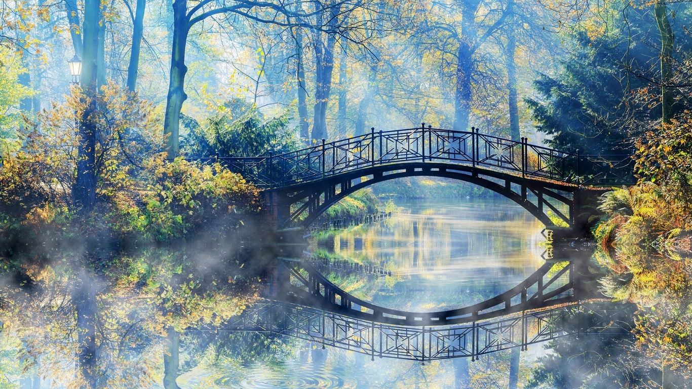 autumn, bridge, forest, nature