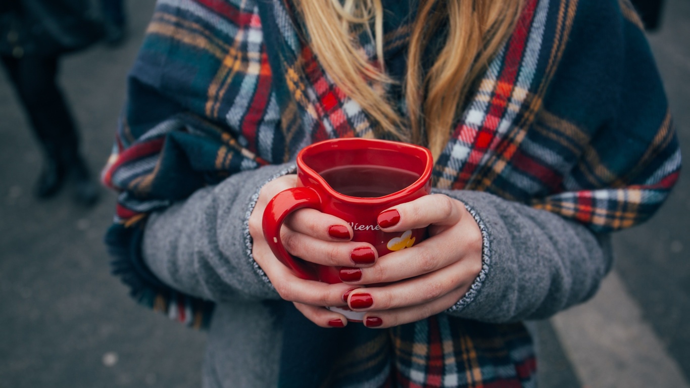 autumn, coffee, vienna, austria