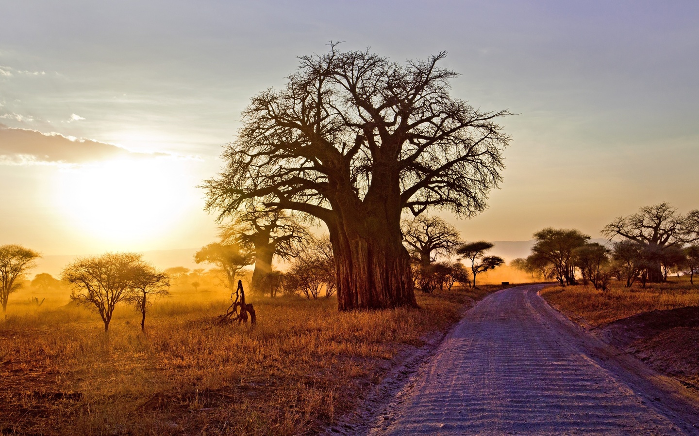 sunset, tarangire national park, tanzania