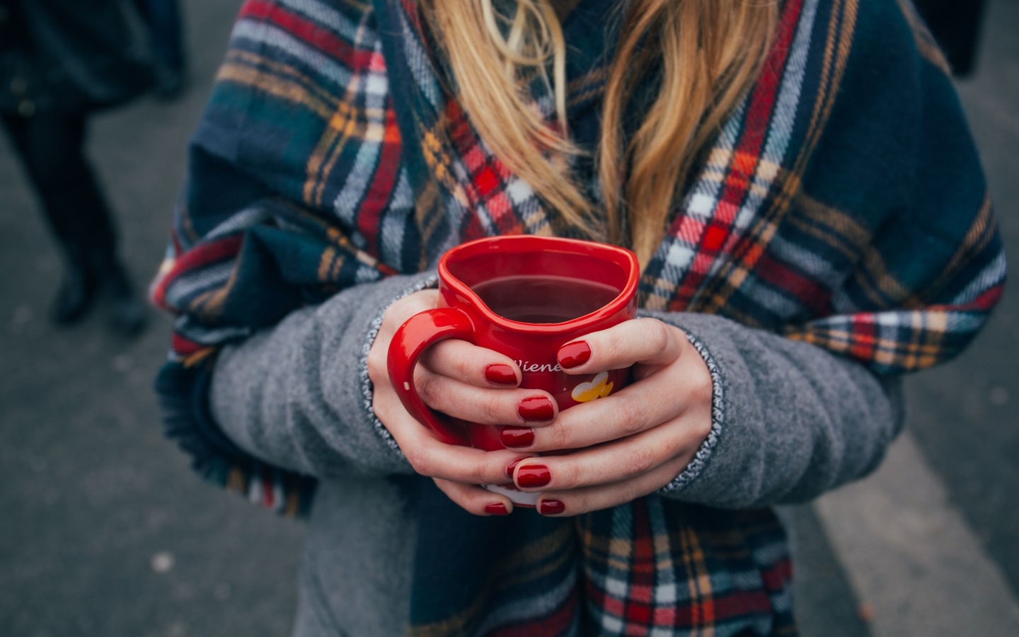 autumn, coffee, vienna, austria