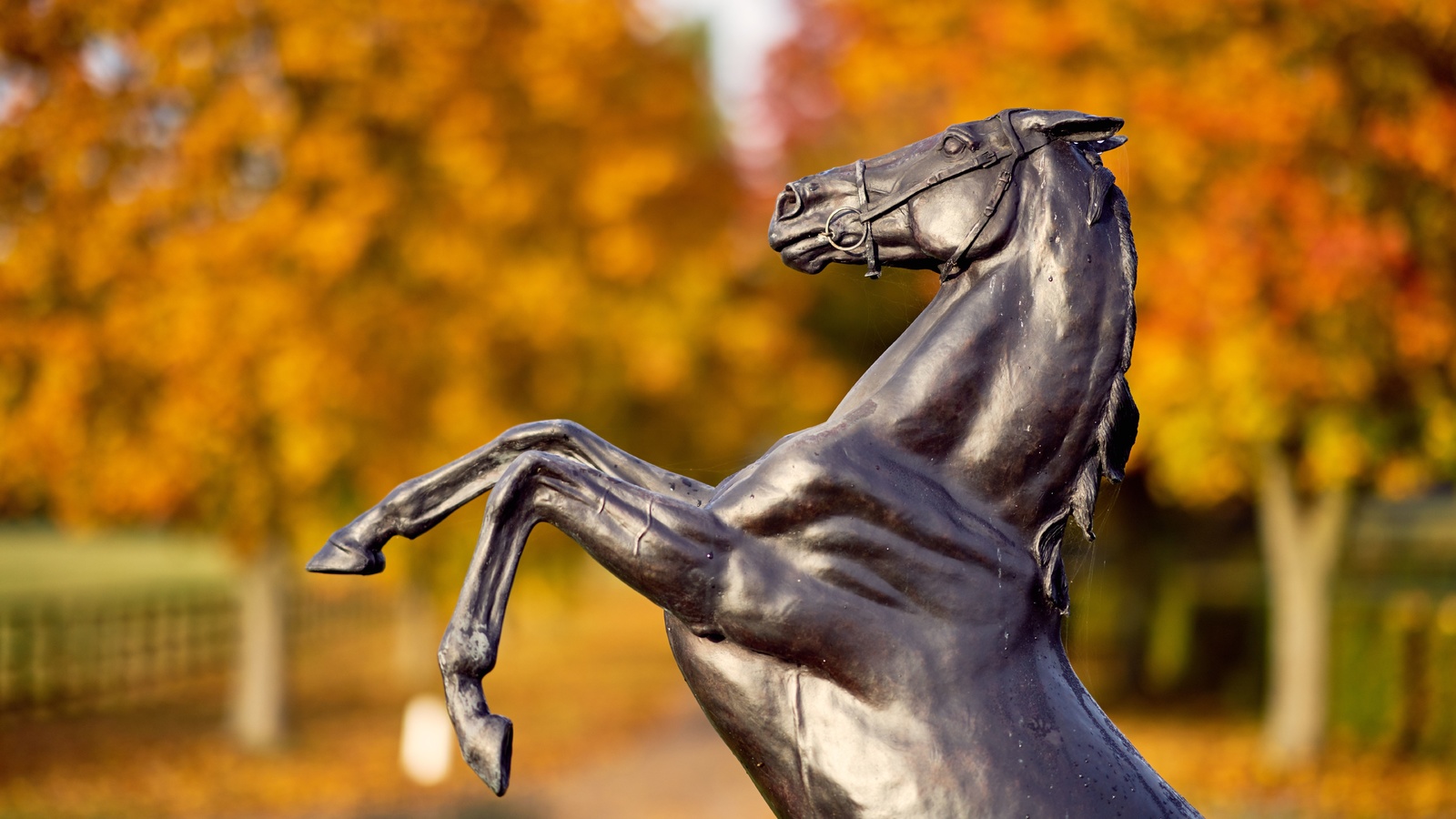 newmarket, national stud, united kingdom, thoroughbred horse breeding farm, statue