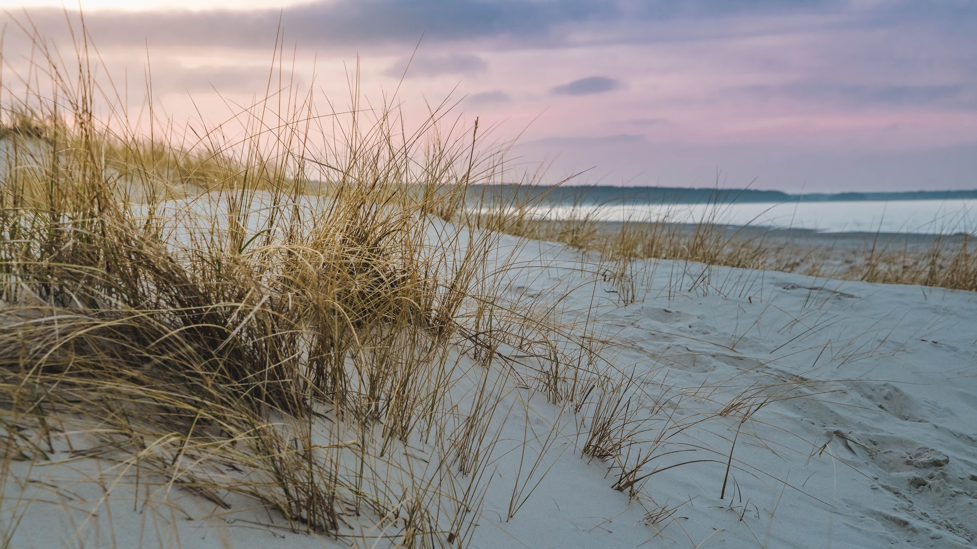 baltic sea, dune, grass, beach