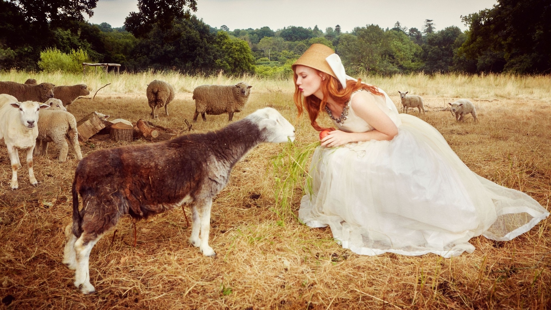 sylvia flote, countryside estate, sheep