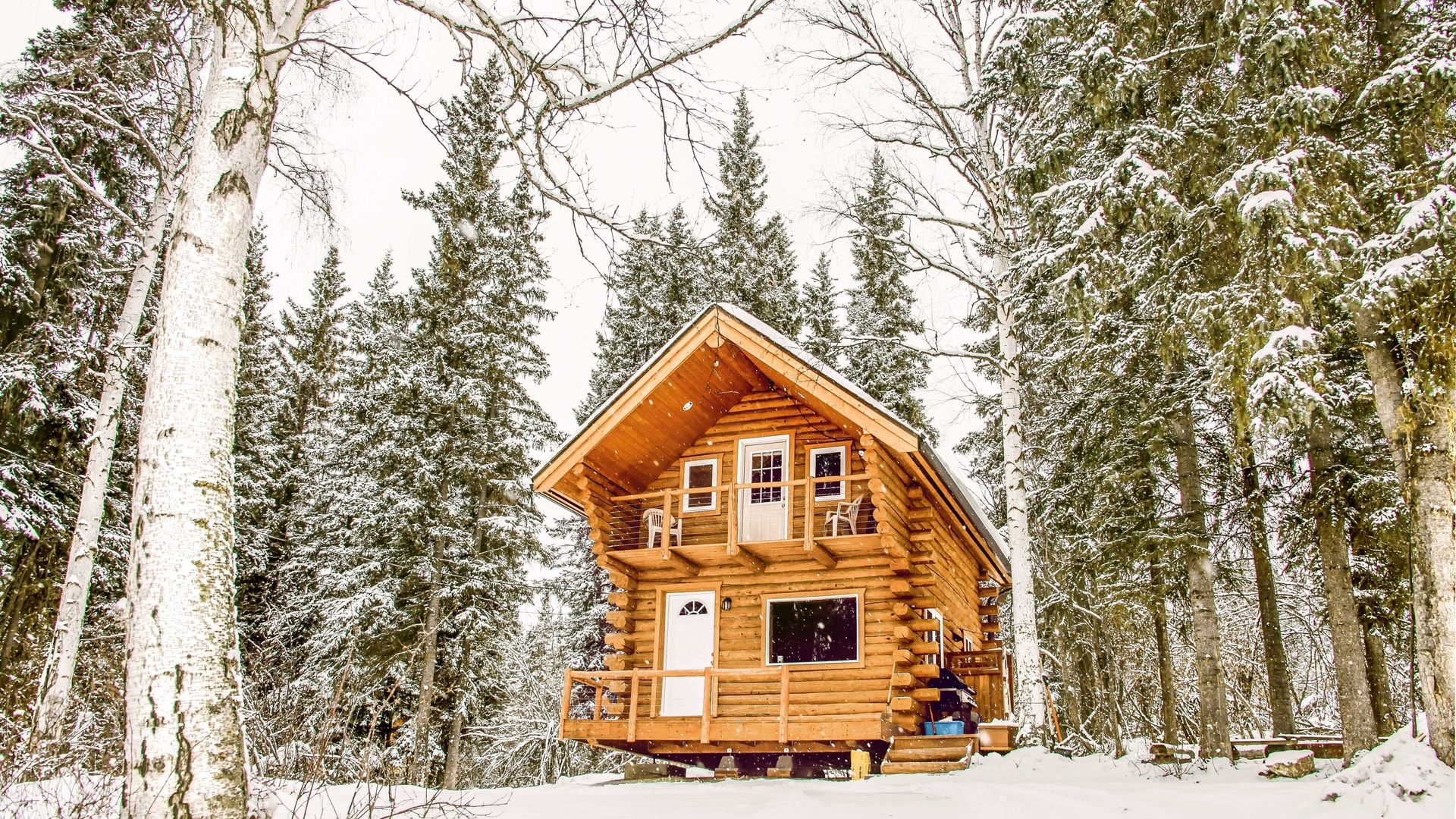 log cabin, wildlife, alaska