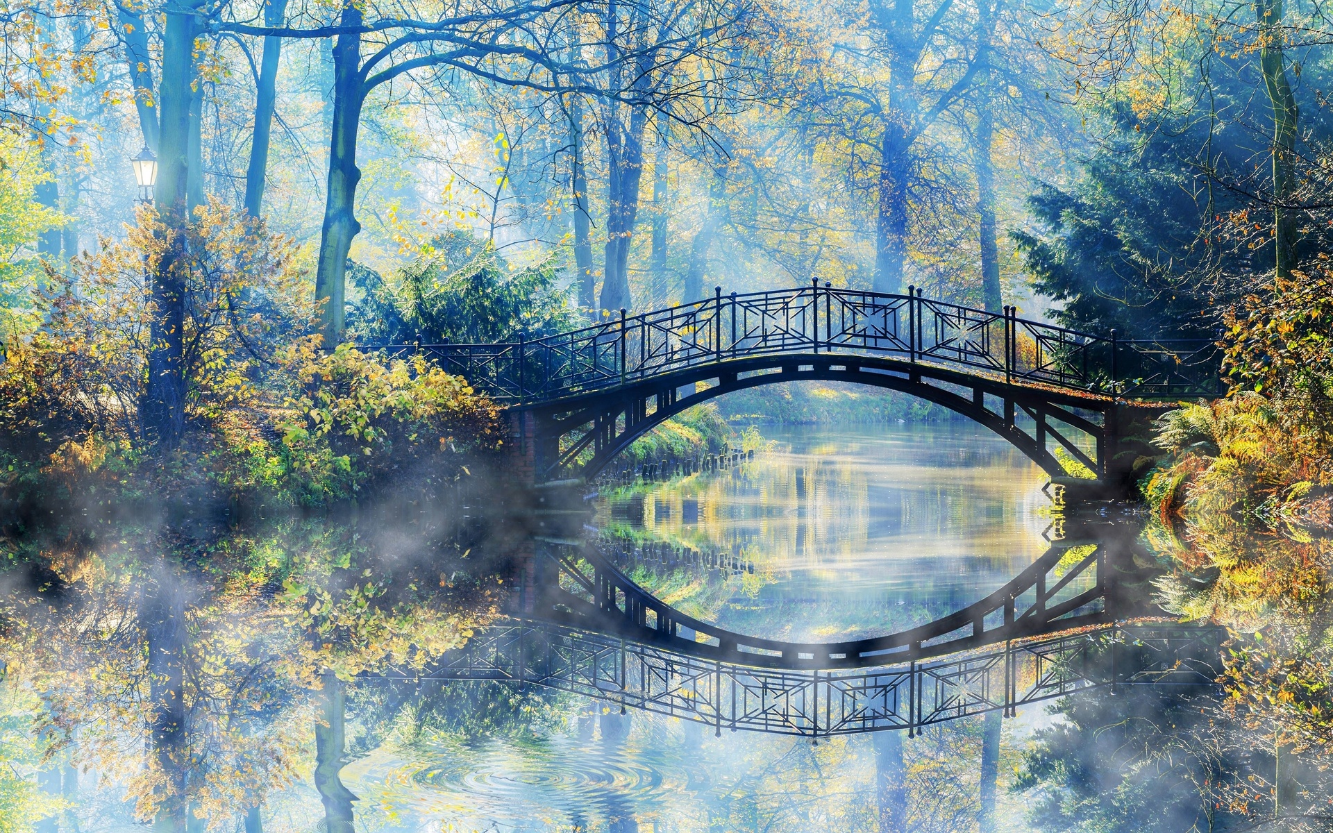 autumn, bridge, forest, nature