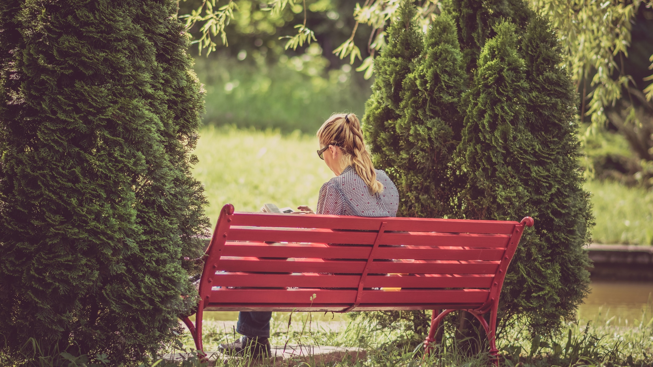 nature, garden, bench, autumn