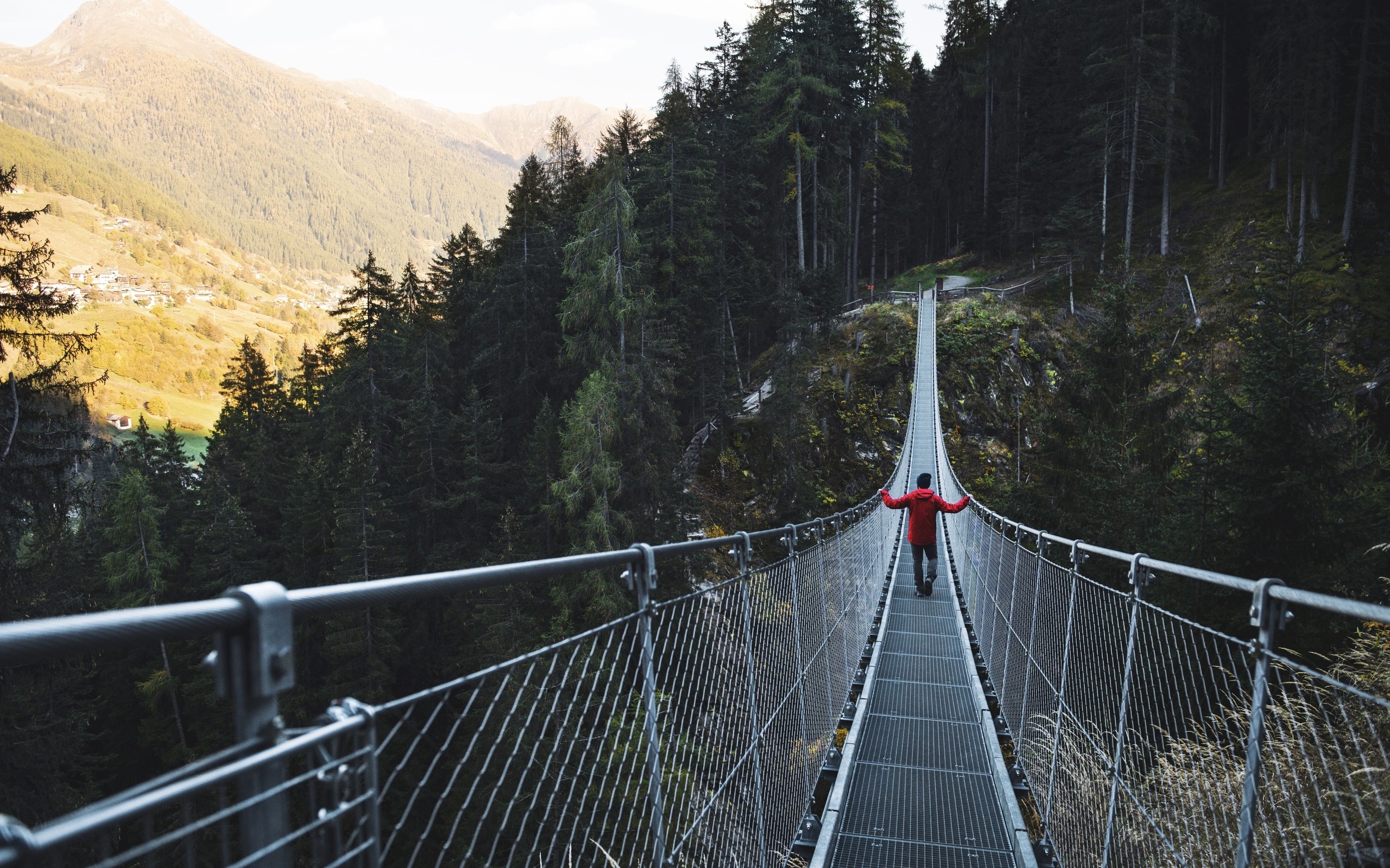 autumn, suspension bridge, val di sole, northern italy