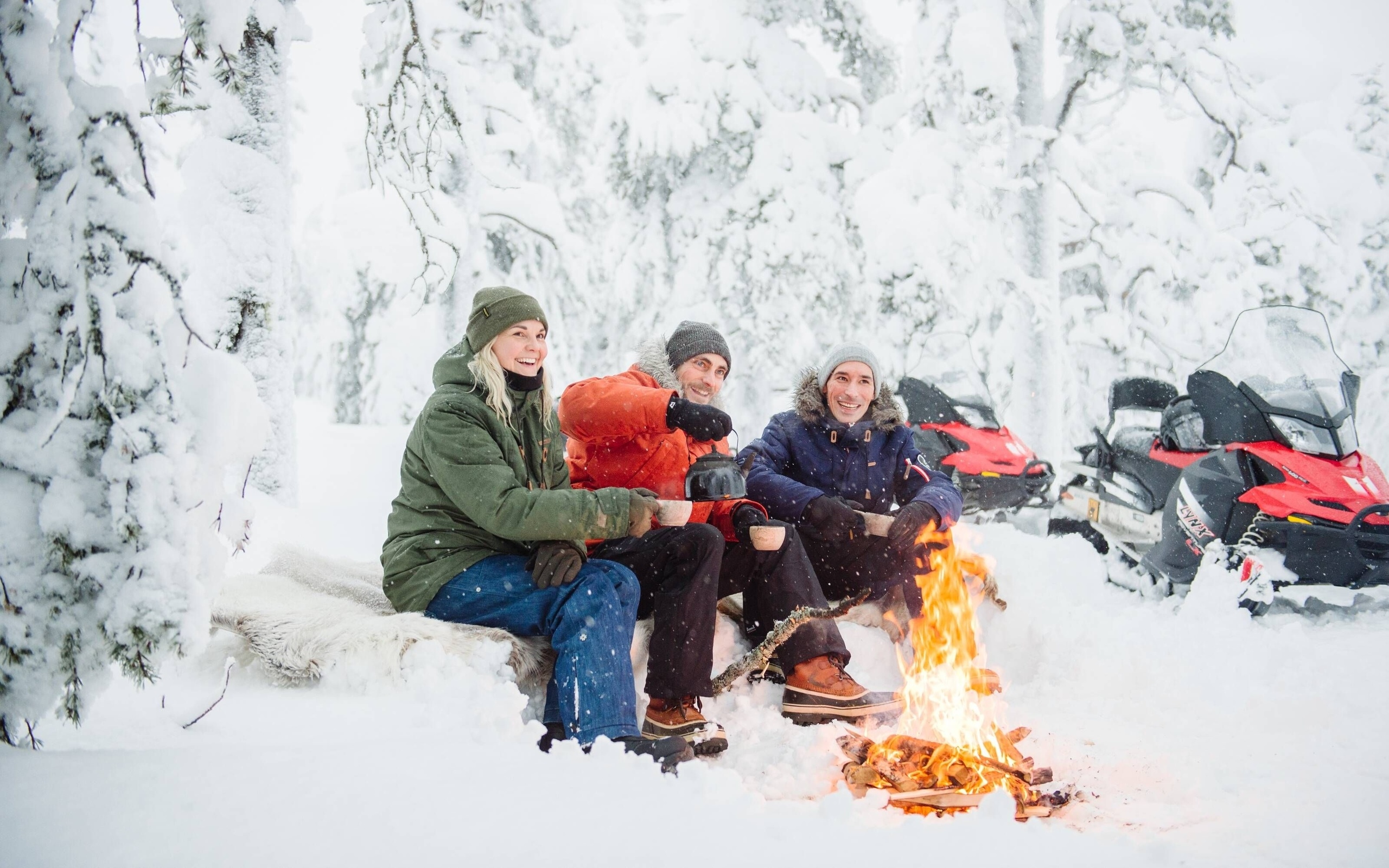 nordic country, travel, winter wonderland, finland