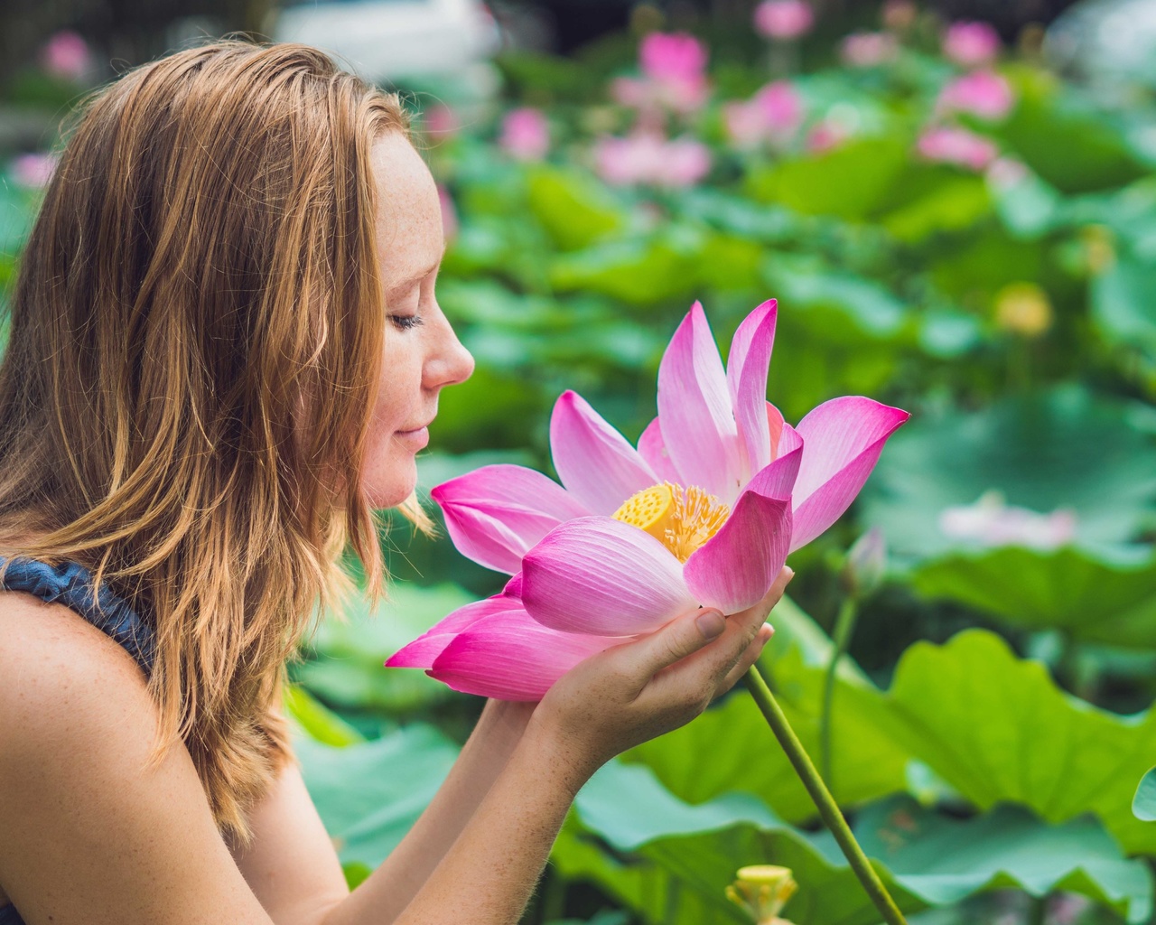 pink lotus, flower, woman