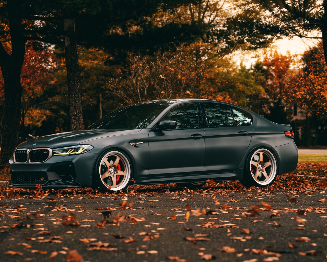 bmw, bmw m5, m5 cs, autumn, m5 f90, f90, m5