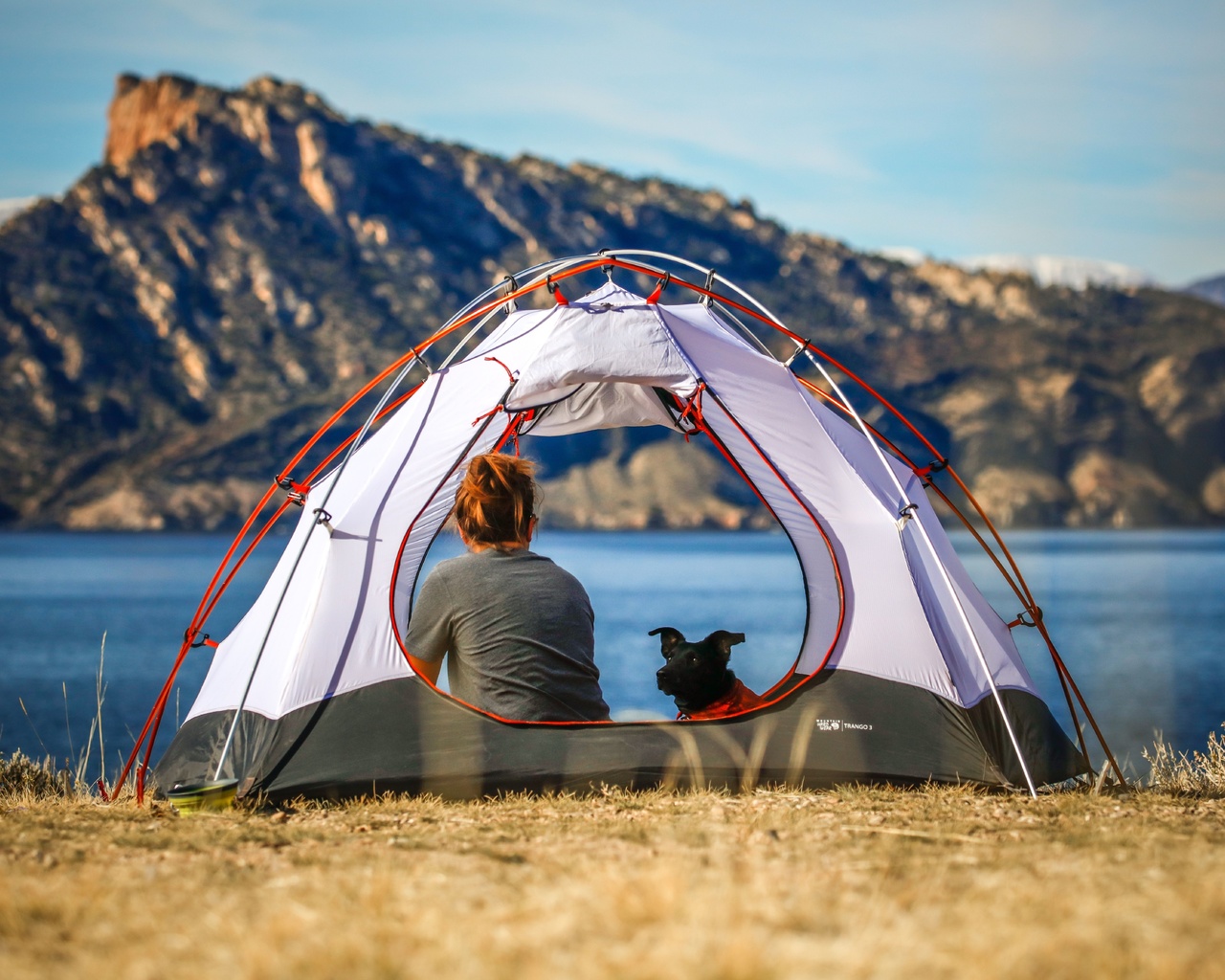 camping near los angeles, travel, pet