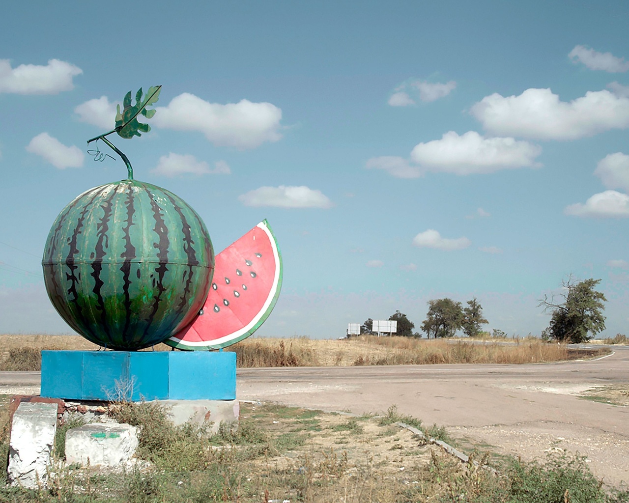 kherson region, ukraine, watermelon