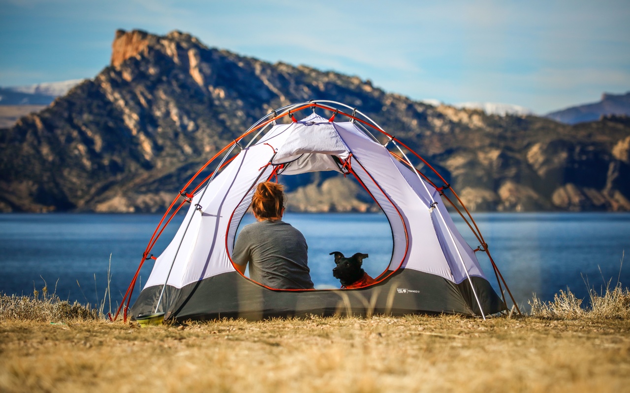 camping near los angeles, travel, pet