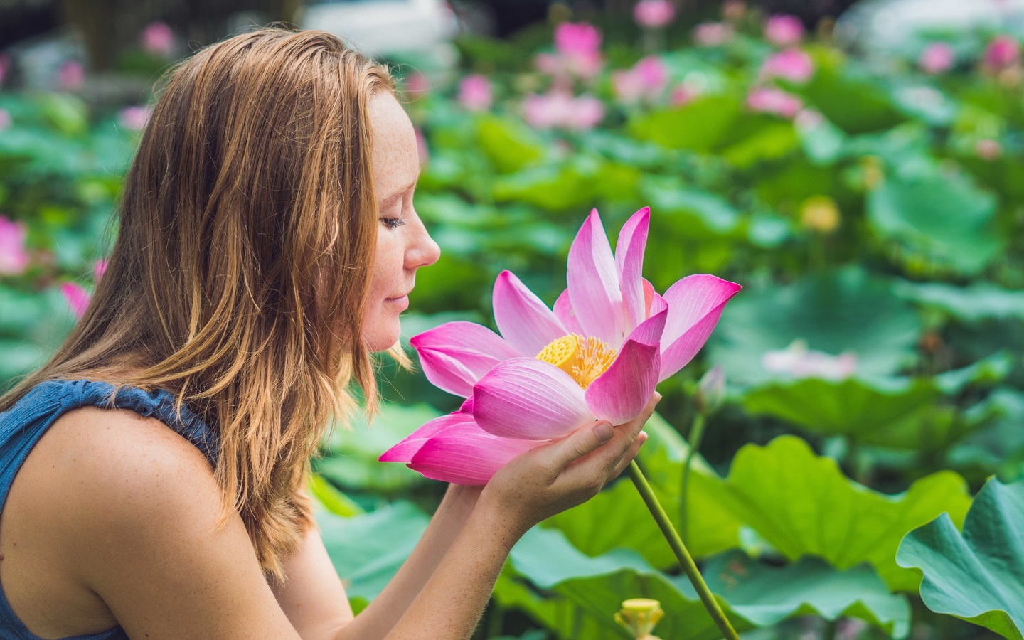 pink lotus, flower, woman