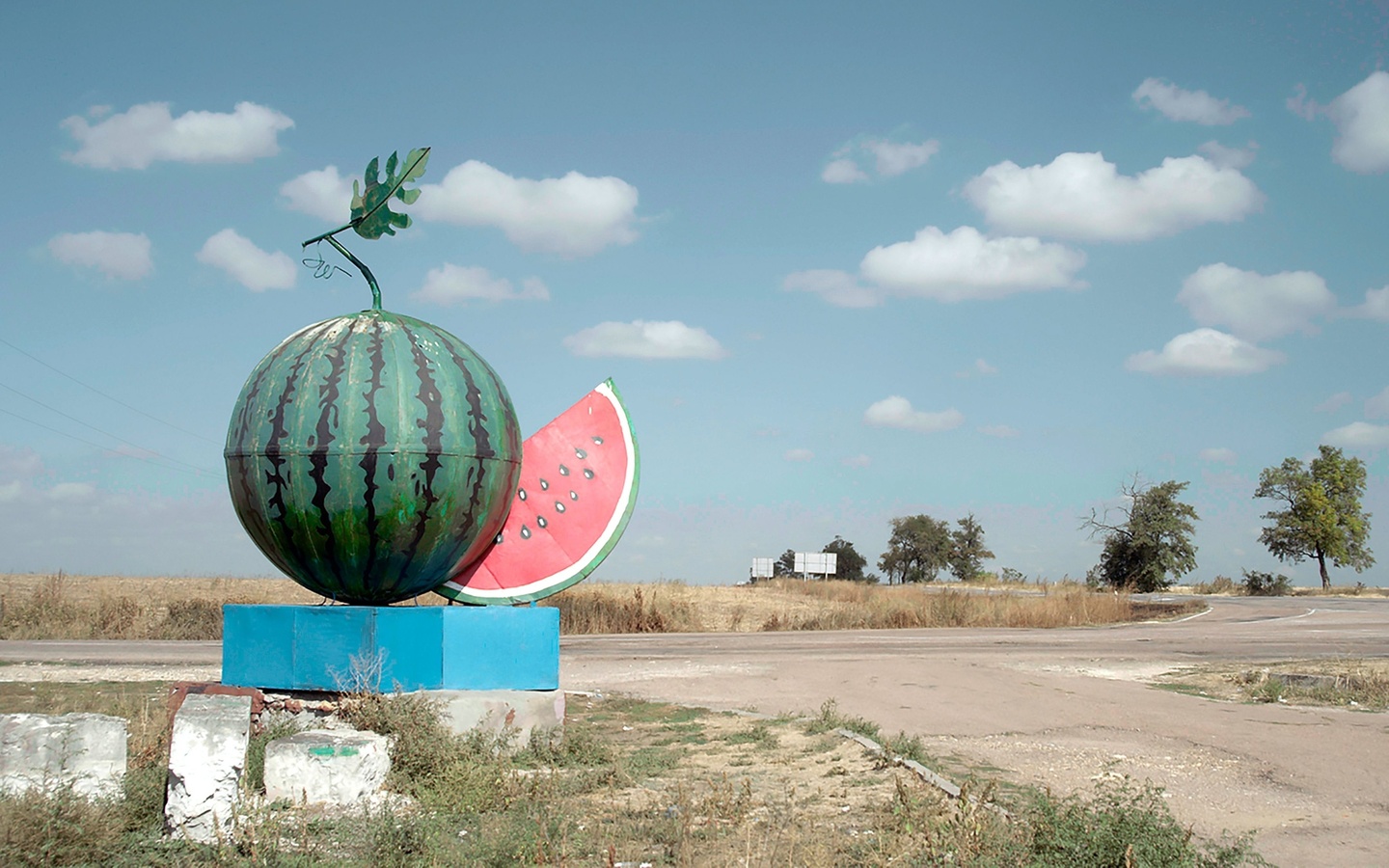 kherson region, ukraine, watermelon