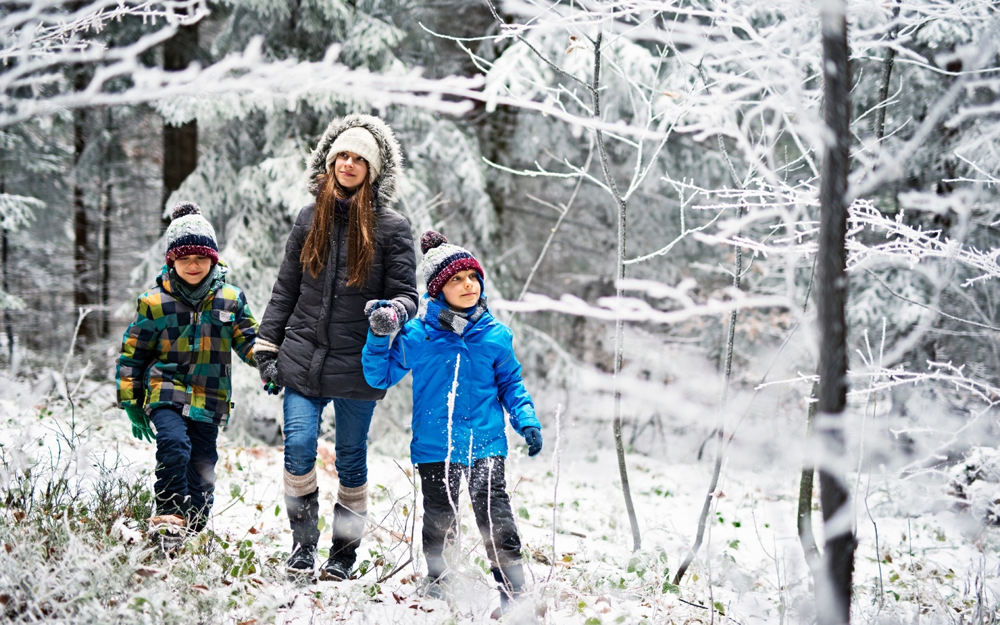 winter walks, family, winter in the wood