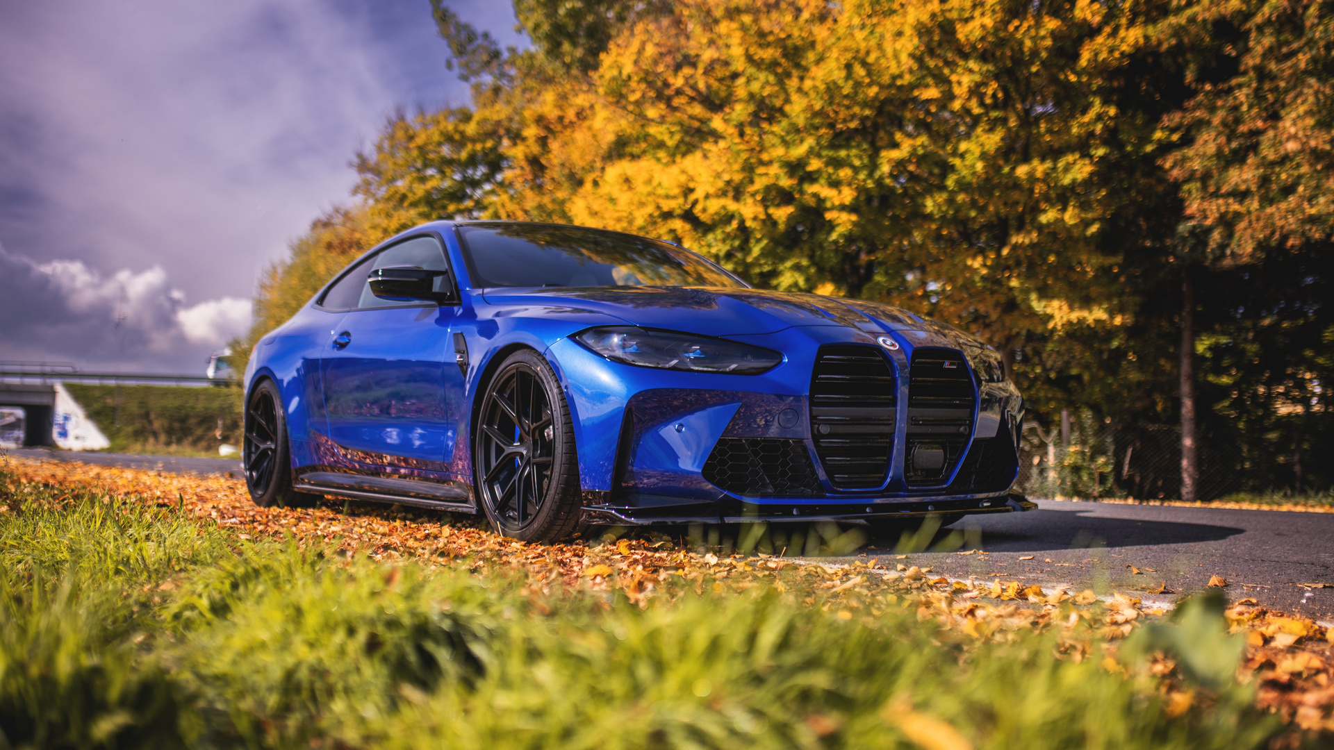 bmw, bmw m4, m4, road, blue, autumn