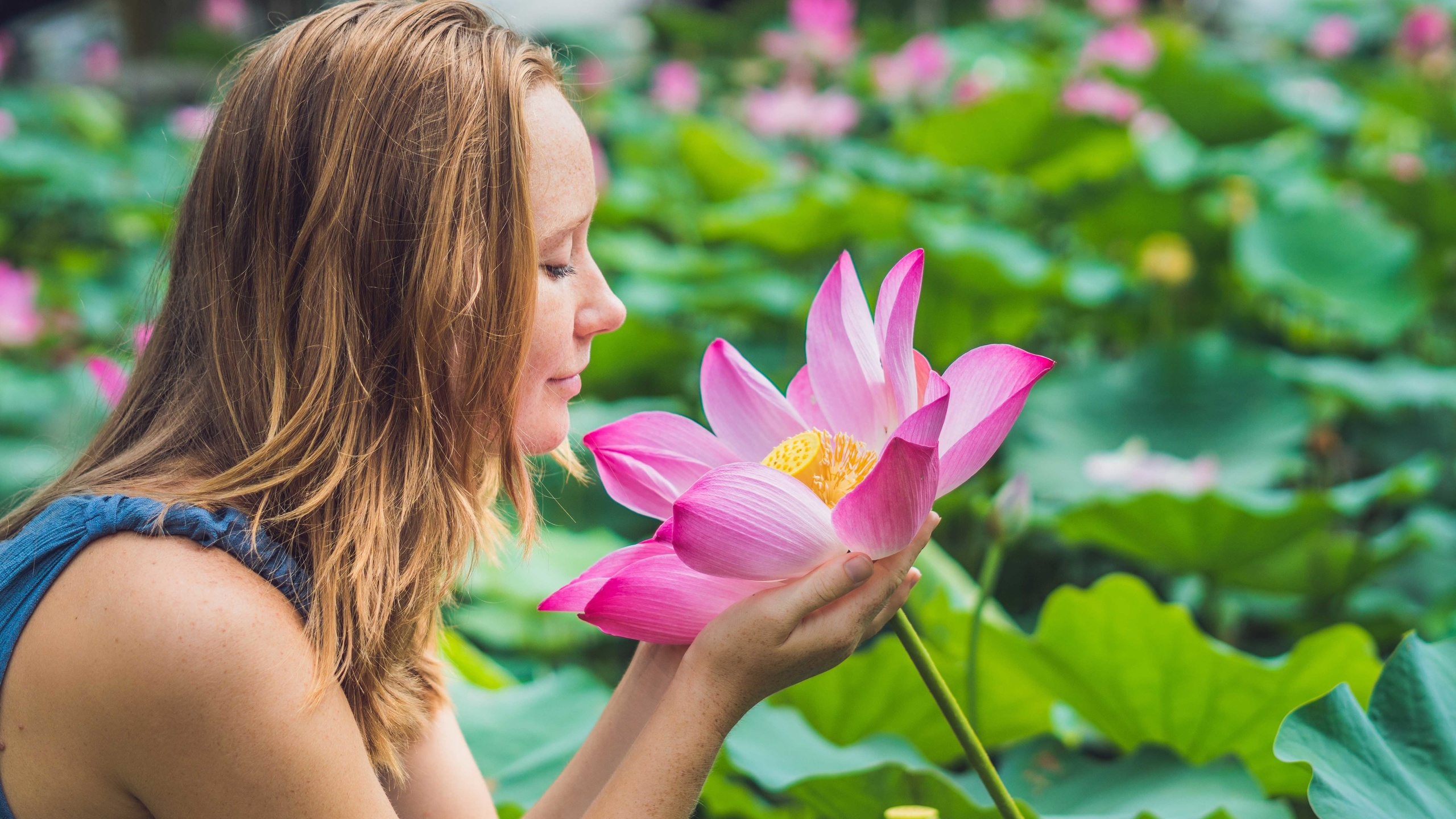 pink lotus, flower, woman