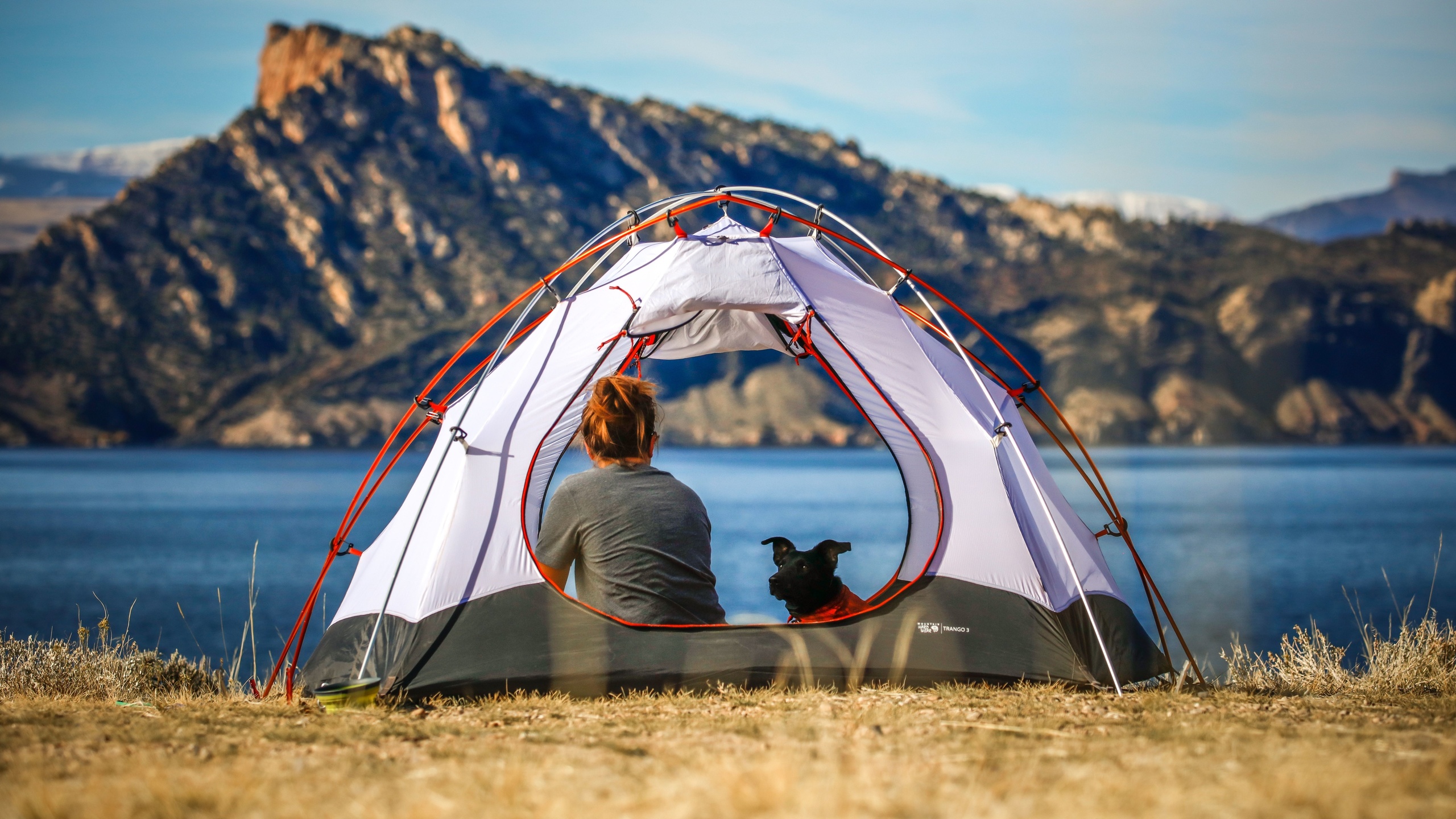 camping near los angeles, travel, pet