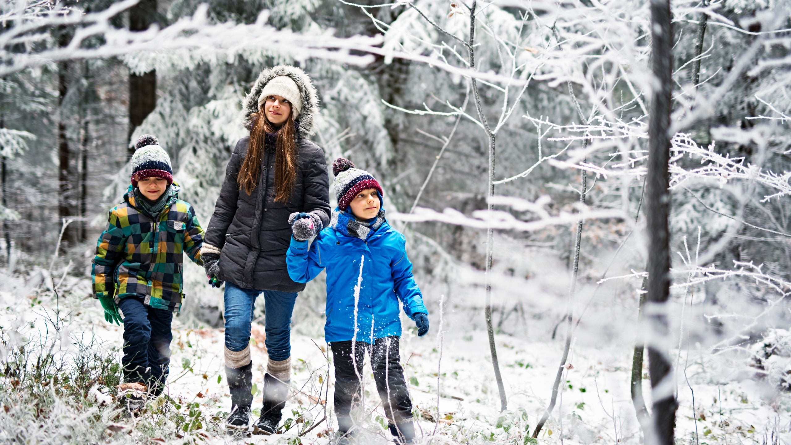 winter walks, family, winter in the wood