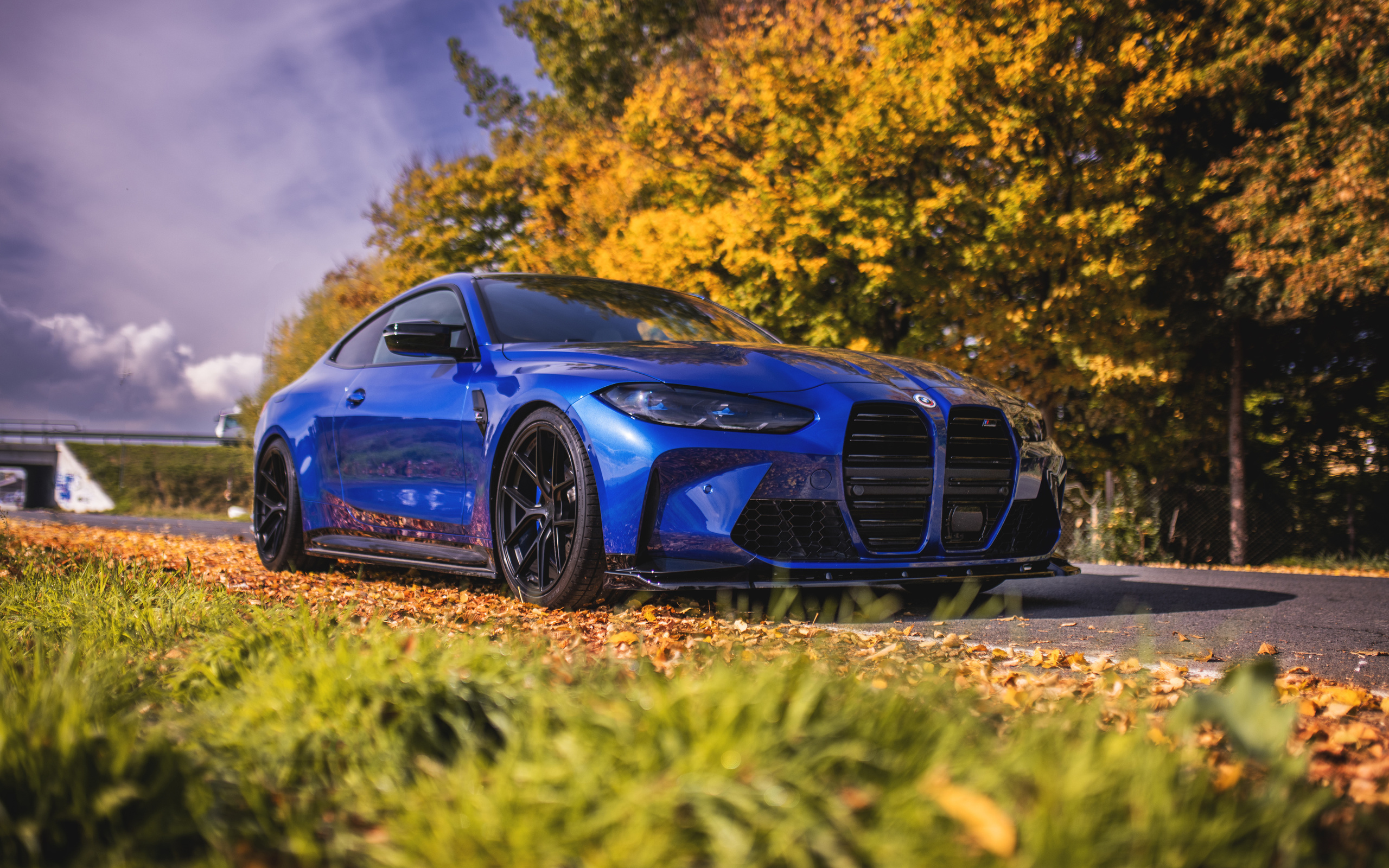 bmw, bmw m4, m4, road, blue, autumn