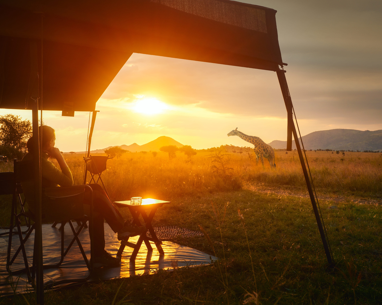 africa, serengeti national park, tanzania, safari