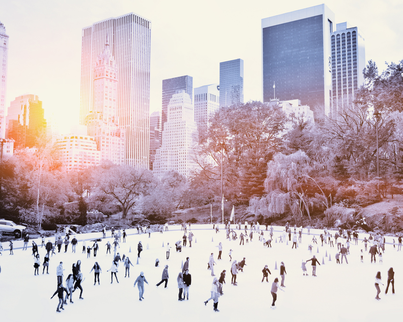 new york, central park, sunrise