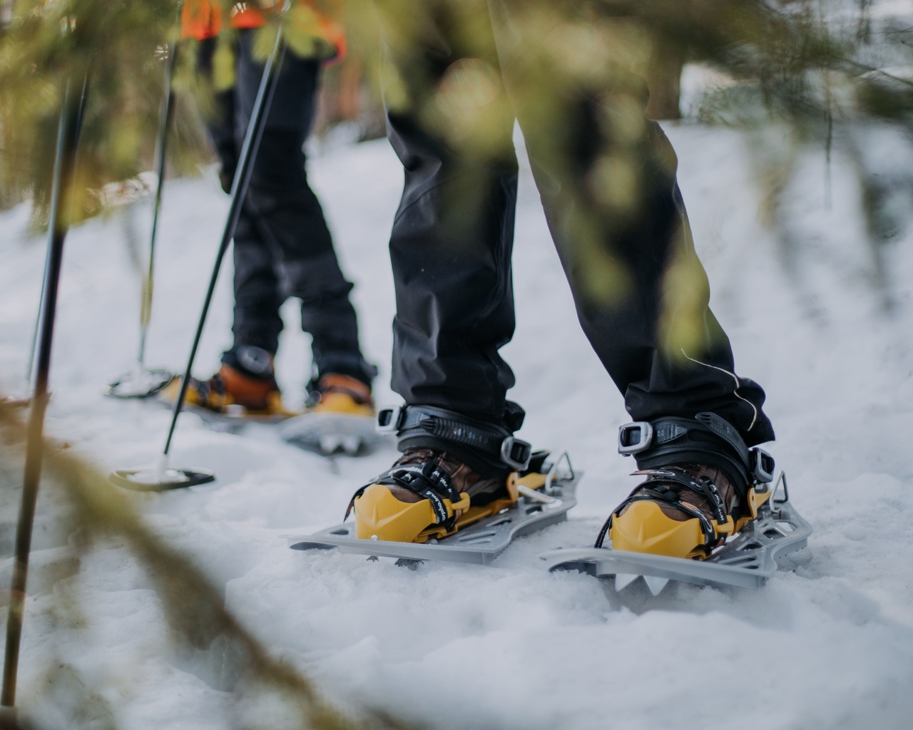 nature, snowshoes, adventure, lakeland, finland