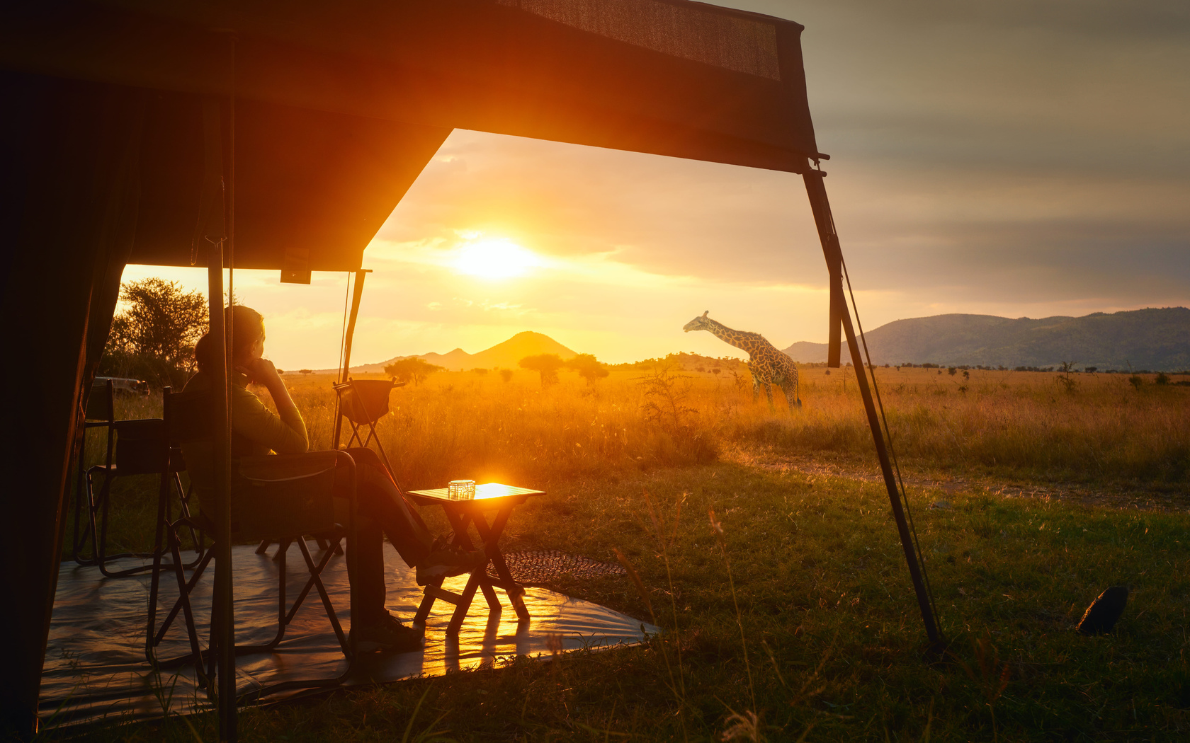 africa, serengeti national park, tanzania, safari