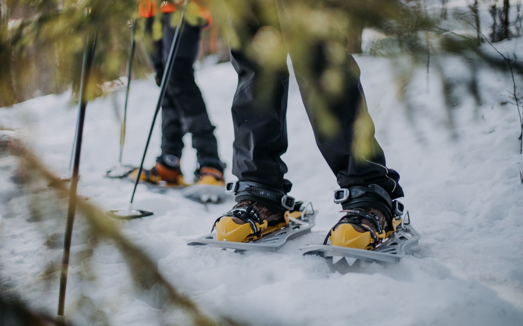 nature, snowshoes, adventure, lakeland, finland