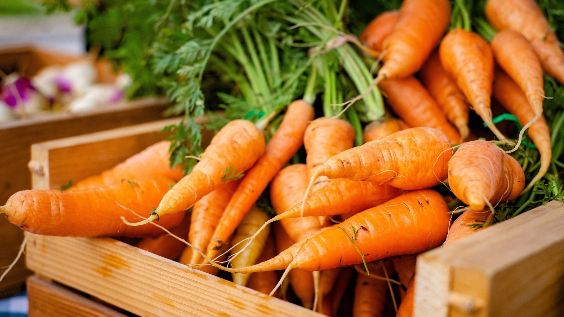 vegetables, market, carrots