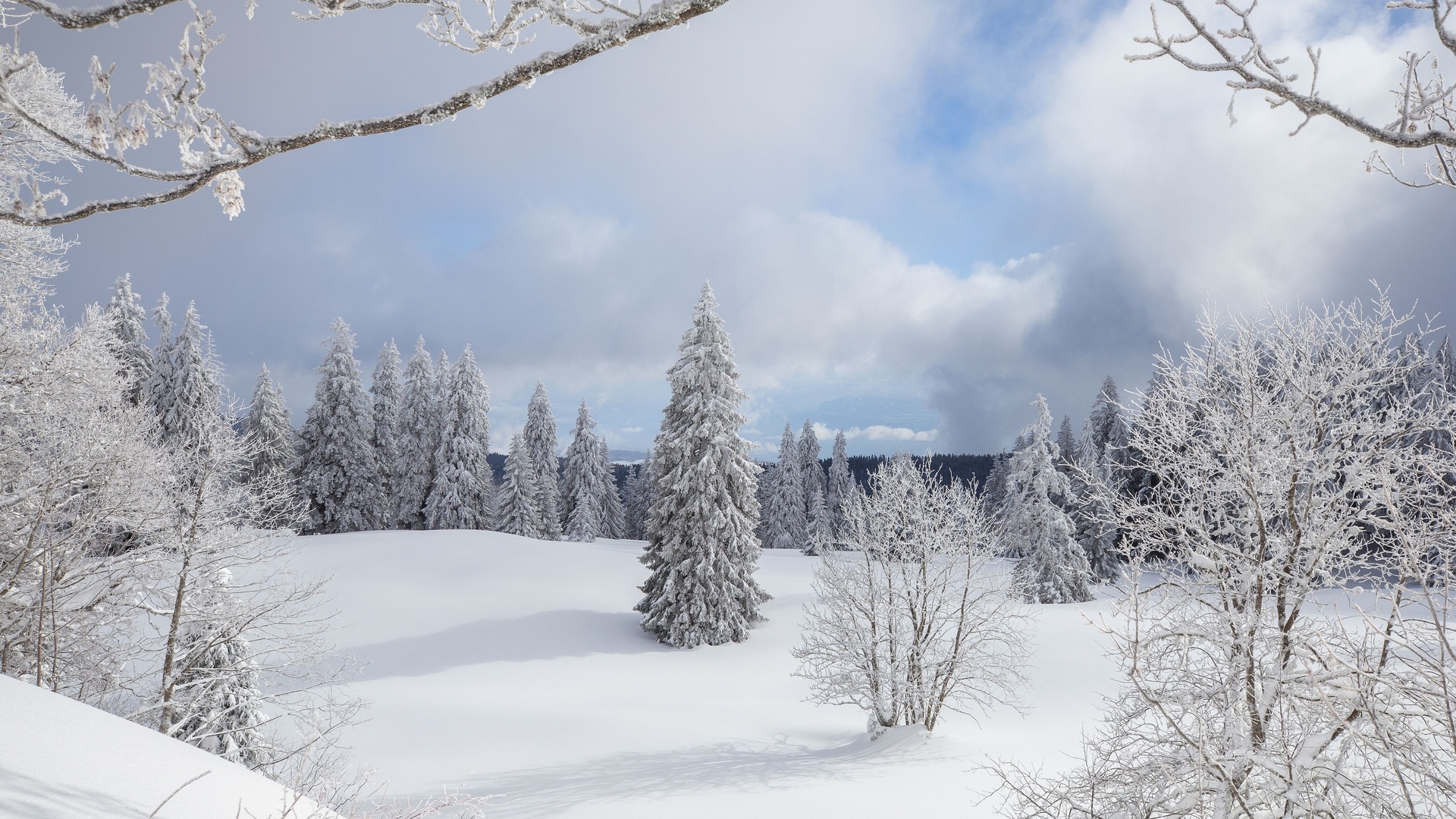 snow, jura vaudois nature park, winter, switzerland