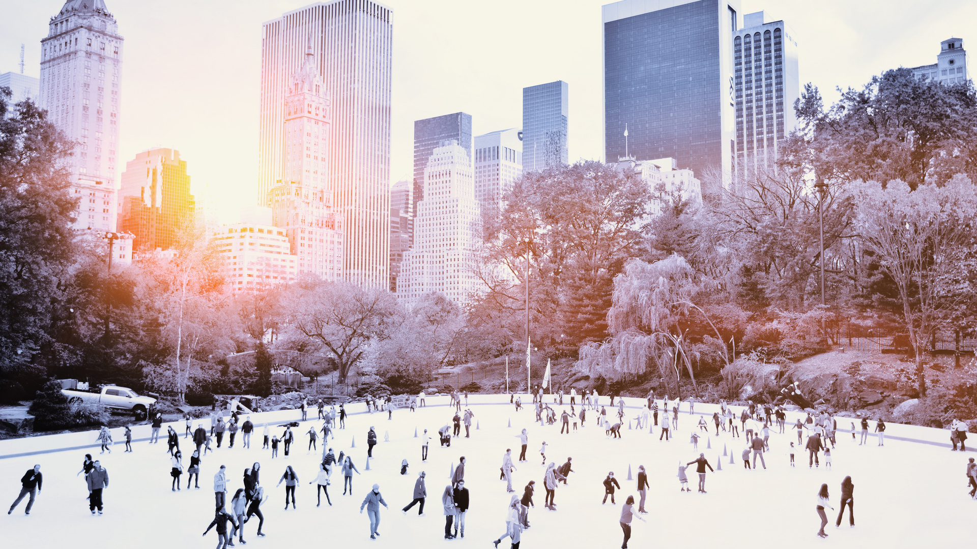 new york, central park, sunrise